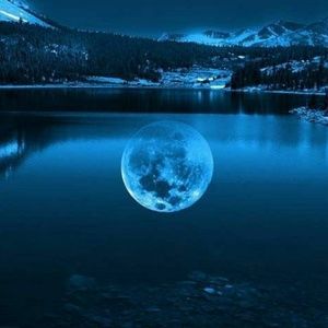 Meet your Posher, Bradley